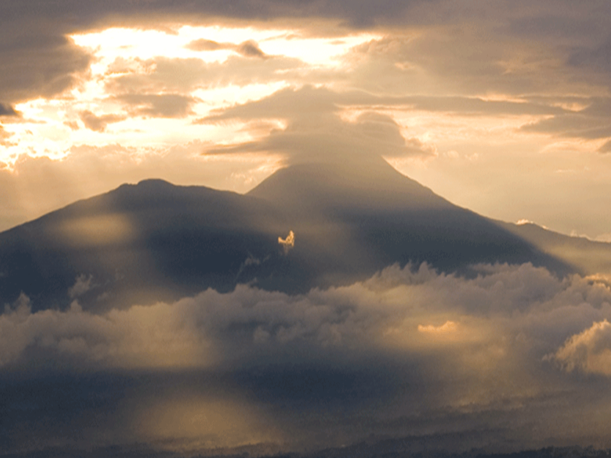 When is the best time to go Mountain Gorilla Trekking