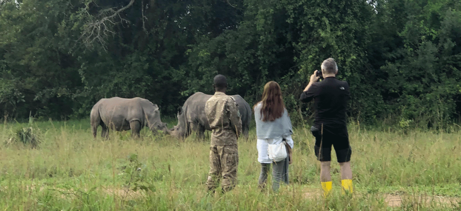 Best place to see Rhinos in East Africa