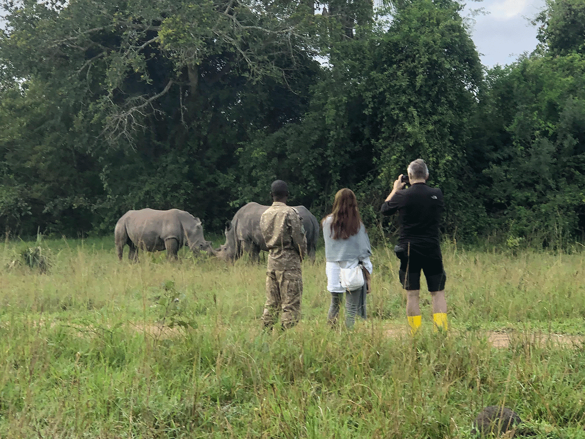 Best place to see Rhinos in East Africa